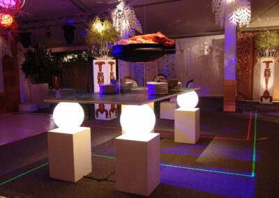 Satterley "The Event" Party Lighting Image 3