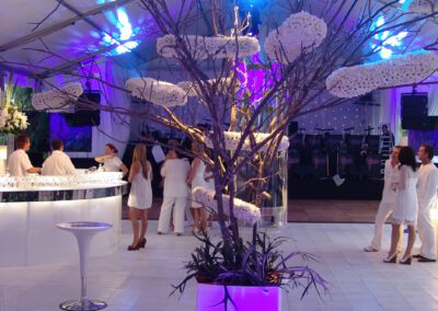 Satterley White Party Lighting Image 7